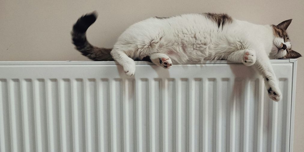 Jak ušetřit na energiích v zimě?