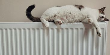 Jaké kroky udělat, abychom příští zimu ušetřili na energiích?